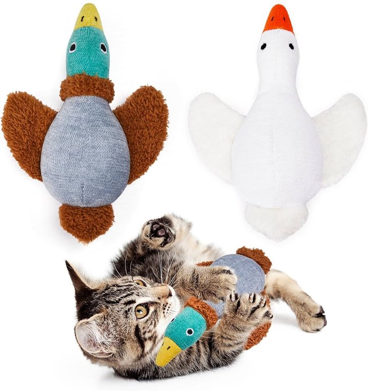 Adorable Kittens Playtime Bliss_ Cute Happy Kitten Fun with Many Toys