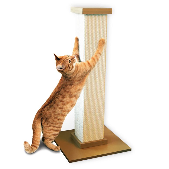 Essential Guide_ Petsmart Cat Scratching Post Reviews and Tips