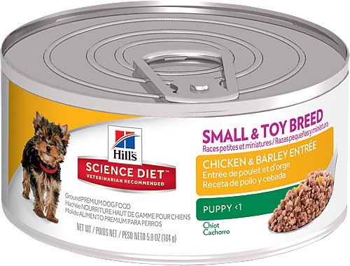 Hills Science Diet Wet Dog Food for Small _ Toy Breeds