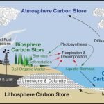 How_long_has_carbon_been_underground_quizlet