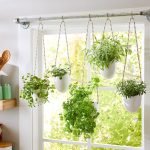 Indoor_herb_garden_ideas_fresh_flavors_for_your_home