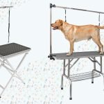 Large_dog_grooming_table_for_sale