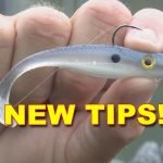 Mastering the Best Fishing Lures for Bass in Cold Water Expert Tips_1