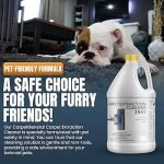 Pet-friendly_water_fountains_-_in-depth_review_for_your_furry_friends
