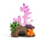 Petco_fish_tank_accessories