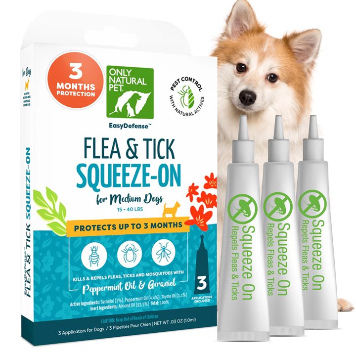 Preventing Fleas and Ticks on Dogs Naturally