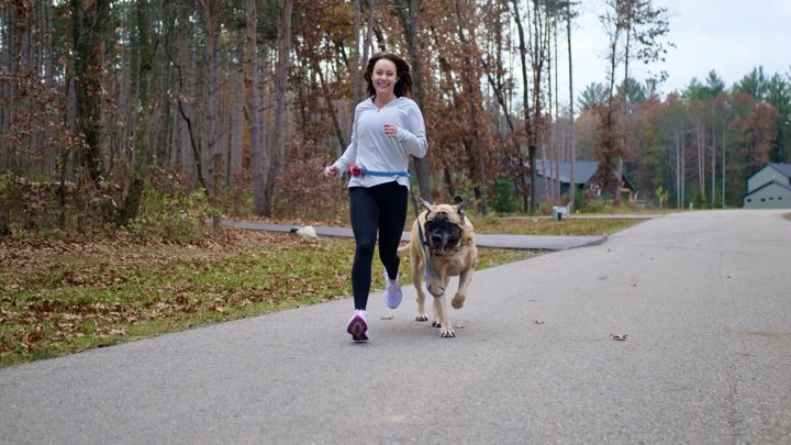 The Ultimate Guide_ Orthopedic Dog Harness for Walking and Car Travel