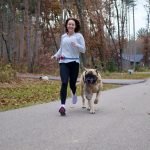The_ultimate_guide_orthopedic_dog_harness_for_walking_and_car_travel