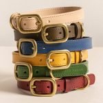 The_ultimate_seresto_dog_collar_size_chart_a_comprehensive_guide