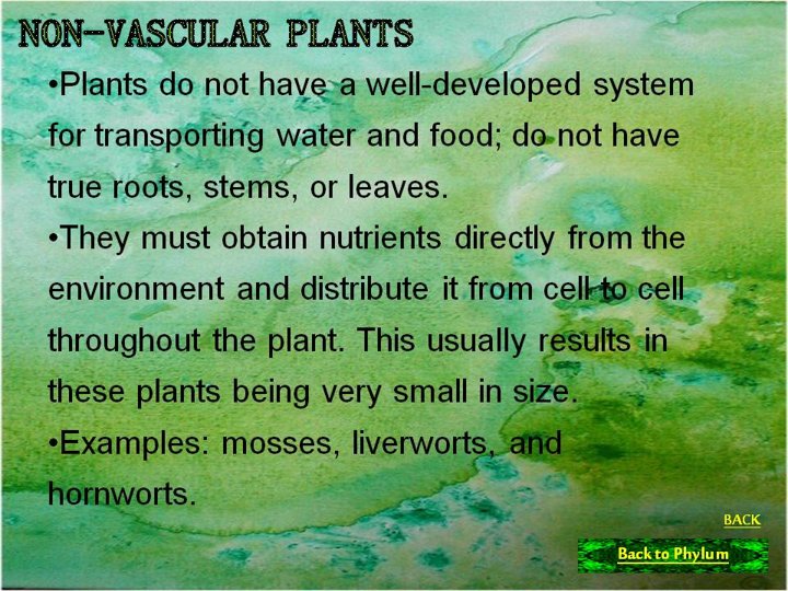 how do fungi obtain nutrients quizlet