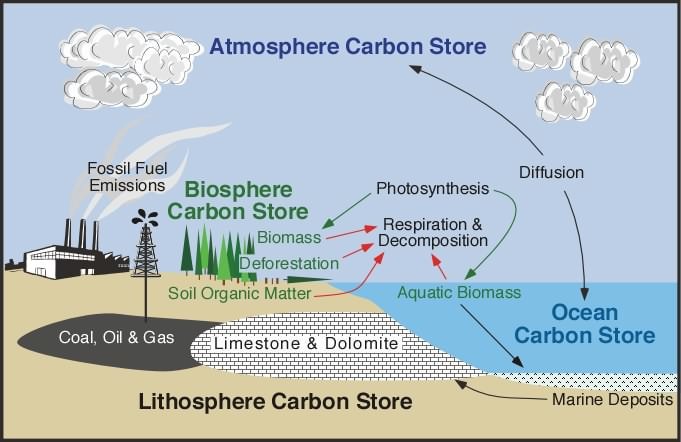 how long has carbon been underground quizlet