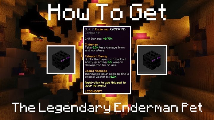 how to get enderman pet hypixel skyblock_1