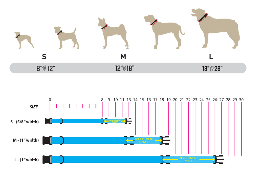 The Ultimate Dog Collar Size Chart