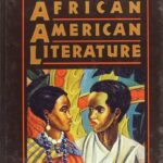 A_definition_of_african_american_literature