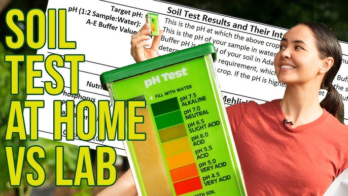 Are Home Soil Test Kits Accurate_