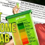 Are_home_soil_test_kits_accurate
