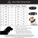 Dog_collar_size_chart_by_weight