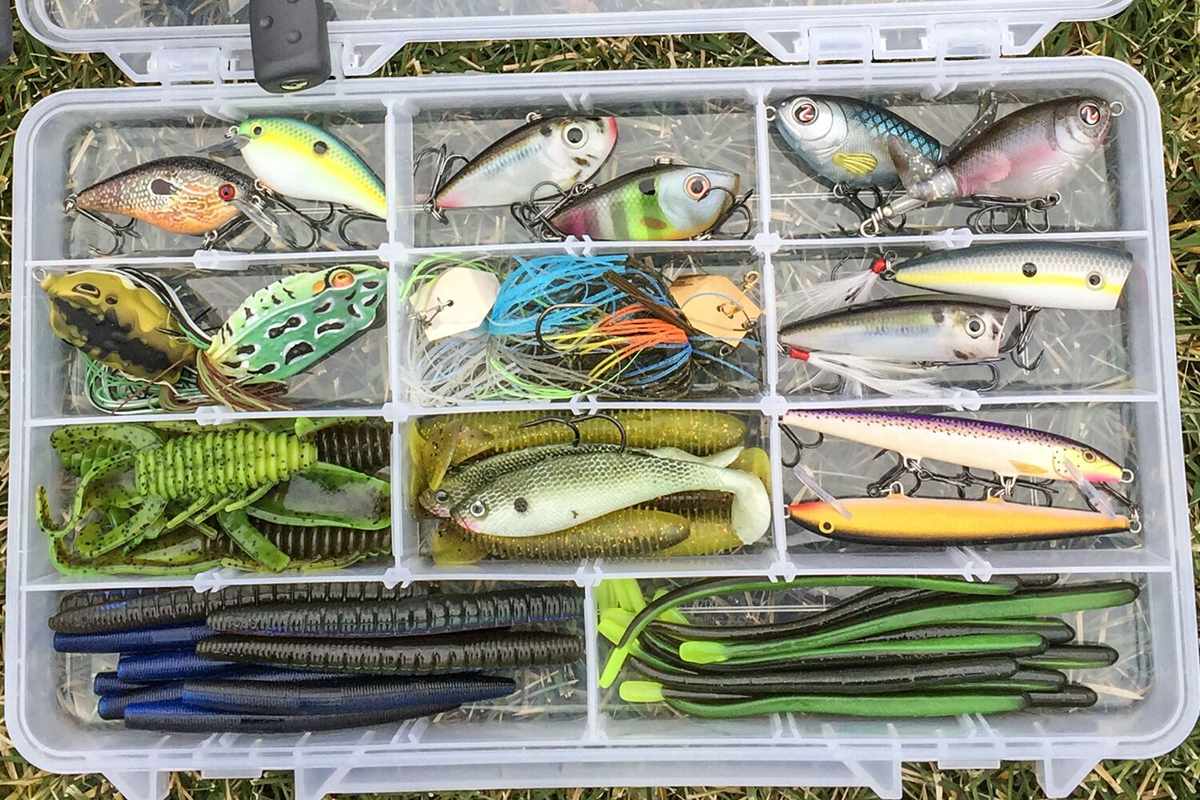 The Best Bass Lures for Bank Fishing