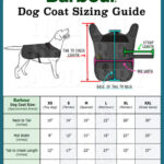 Barbour_dog_coat_sizing_chart