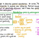 Cell_s_or_organism_s_produced_asexually_from_one_organism_to_which_they_are_genetically_identical