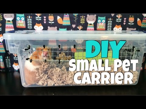 DIY Small Animal Carrier