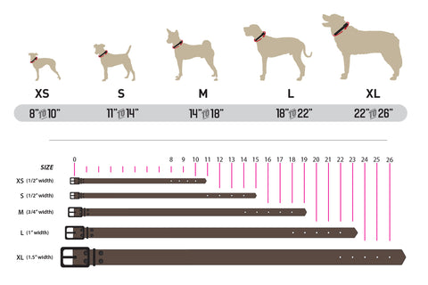 Dog Collar Size