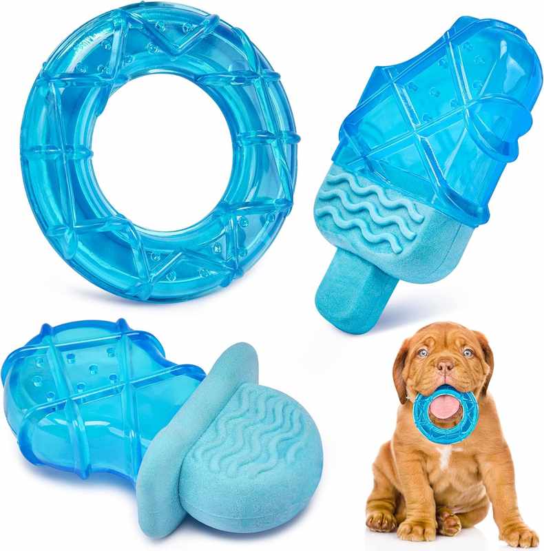 The Best Chew Toy for a 6 Month Old Puppy