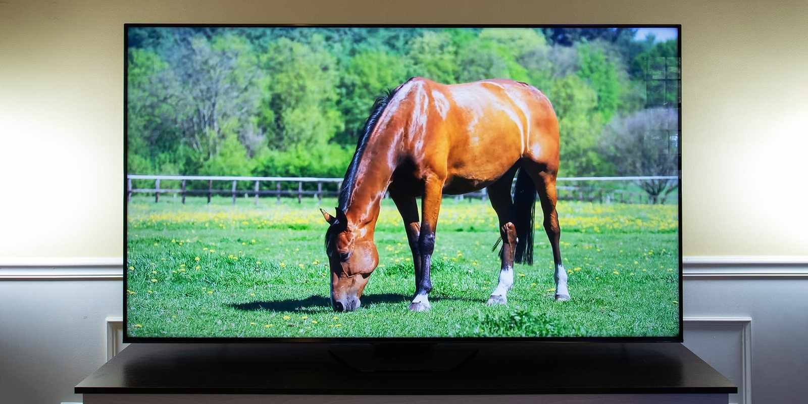 The Top-Rated LED TVs_ Expert Reviews and Ratings
