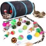 The_best_toys_for_a_13-week_kitten