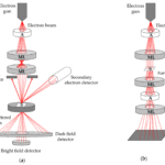 Why_a_transmission_electron_microscope_is_the_best_choice_to_study_ultrastructural_features