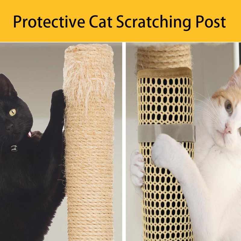 Will a Cat Scratching Post File Nails