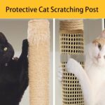Will_a_cat_scratching_post_file_nails