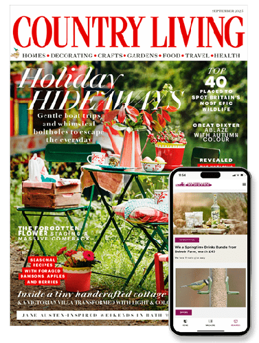 Best Price for Country Living Magazine Subscription