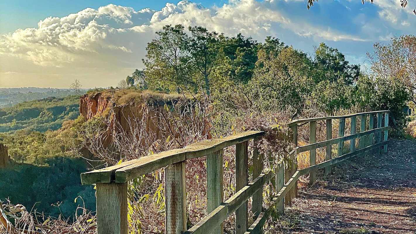 Explore the Great Hiking Trails Near Me_ A Local Guide
