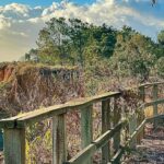 Explore_the_great_hiking_trails_near_me_a_local_guide