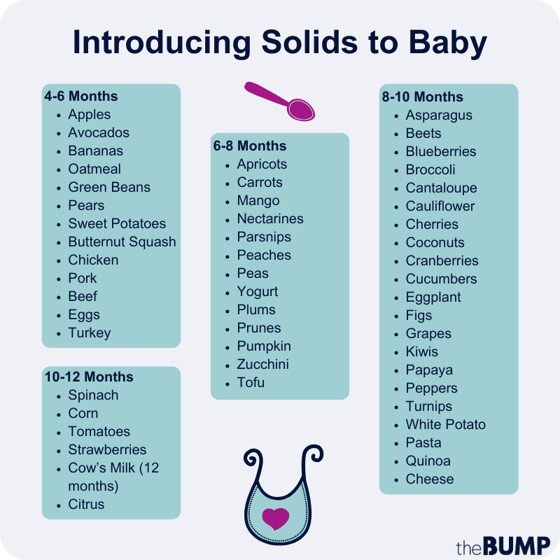 First Foods for Babies - Baby Food Stages 1