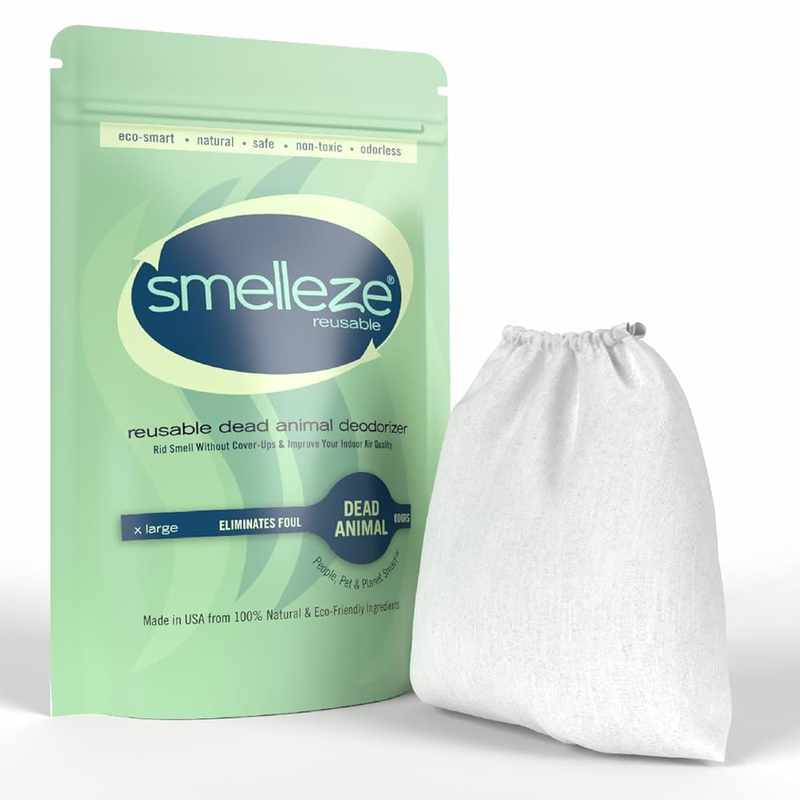 Pet Rat Odor Eliminator_ Effective Solutions for Unwanted Smells