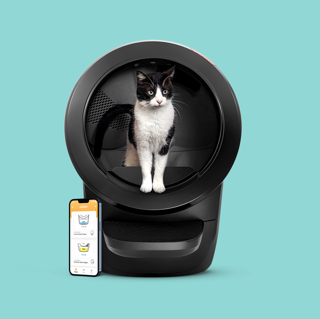 The Best Self Scooping Cat Litter Box
