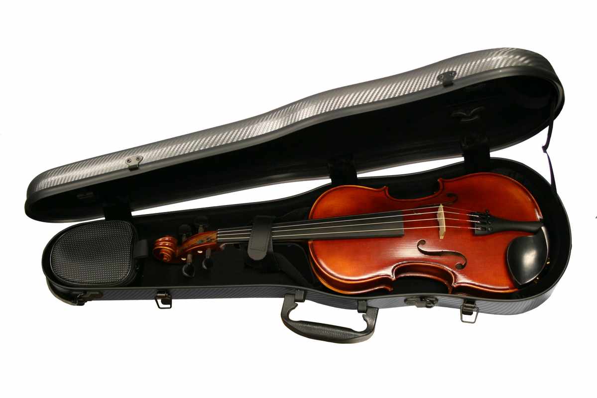 3_4 Violin With Case
